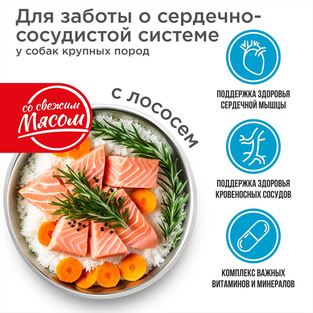 Корм сухой для взрослых собак крупных пород, премиум полнорационный комплекс, для заботы сердечно-сосудистой системы, с лососем, 12 кг, QUATTRO