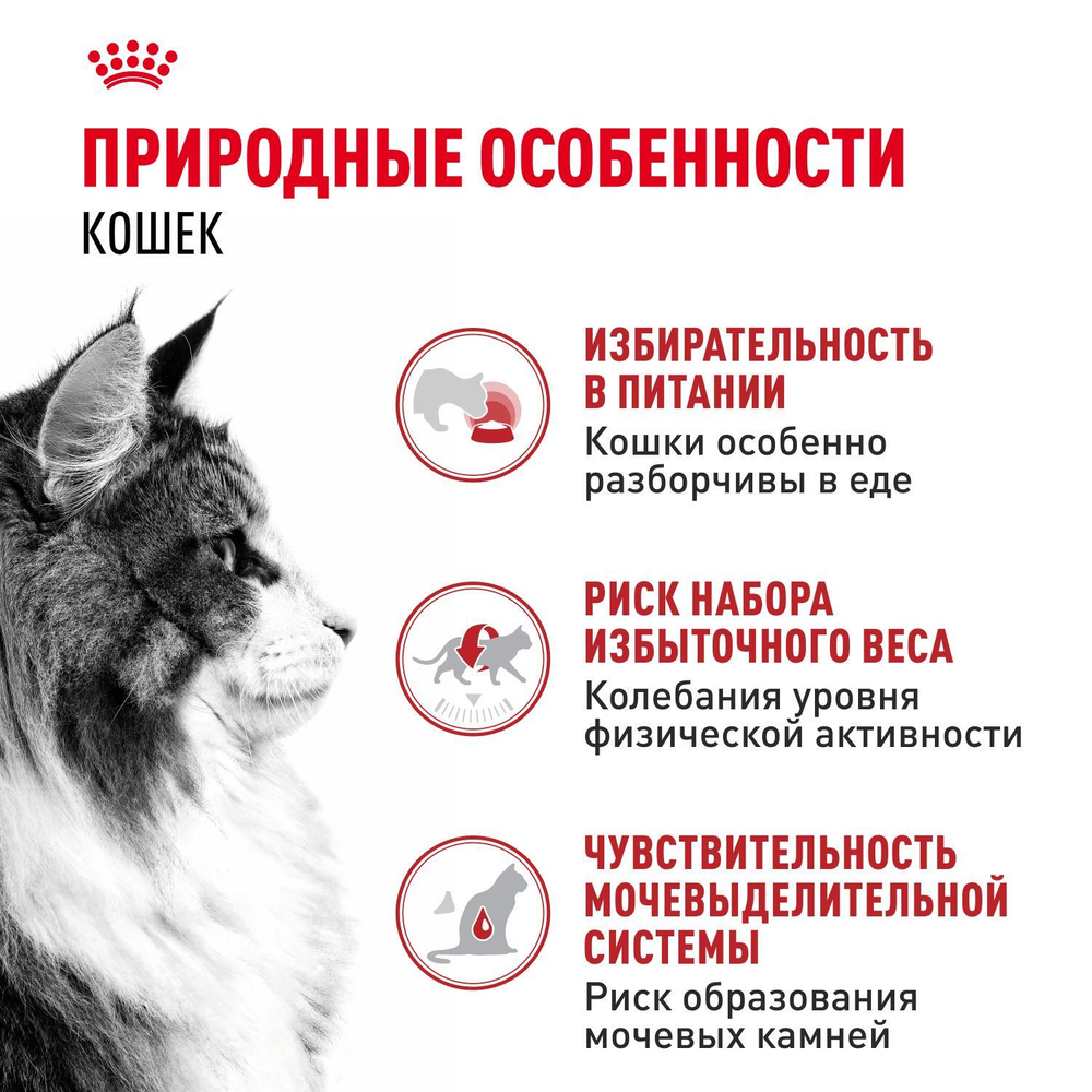Royal Canin Instinctive Инстинктив Корм влажный для взрослых кошек в возрасте от 1 года до 7 лет желе 85г