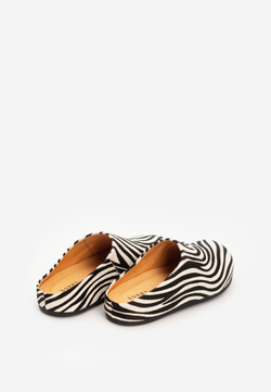 mule zebra noire