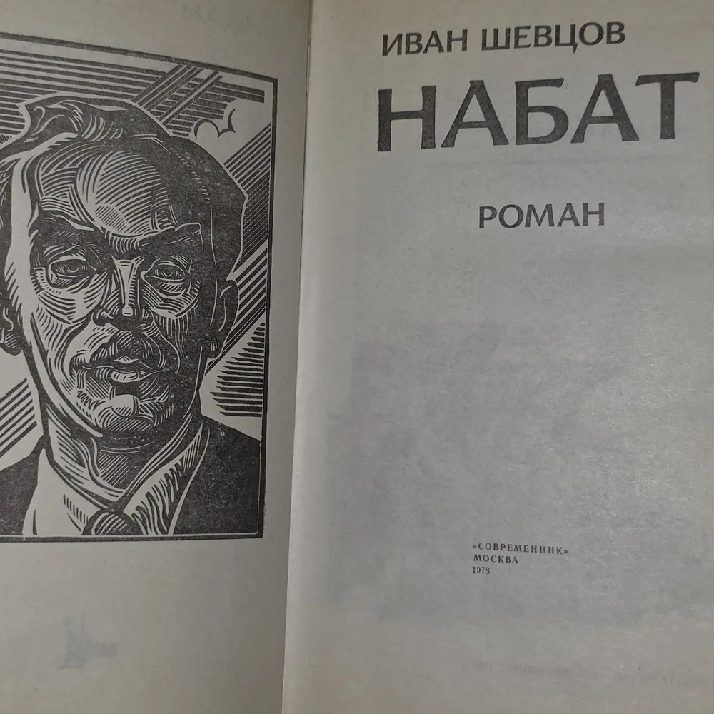 Иван Шевцов. Набат