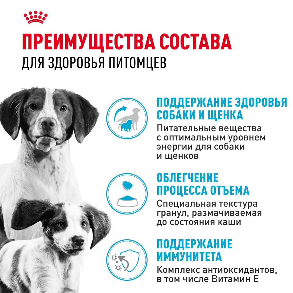 Royal Canin Medium Starter Mother&Babydog Медиум Стартер энд бебидог Корм для щенков средних пород до 2 месяцев беременных и кормящих собак 12кг
