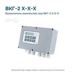 Вычислитель количества газа ВКГ-2 Х-Х-Х