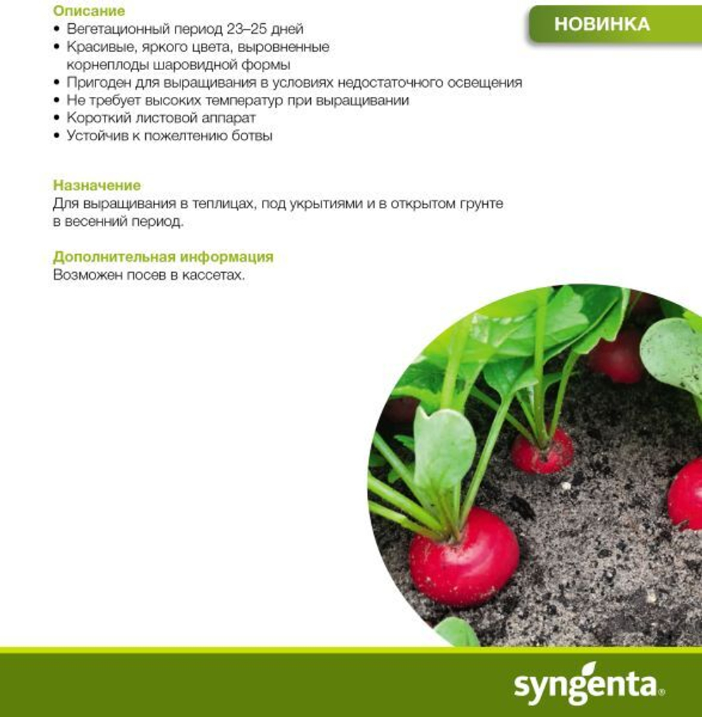 Редис Сизар F1 1г Мировые Семена VITA GREEN