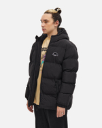Куртка Anteater Downjacket HoodedCrispy Черный