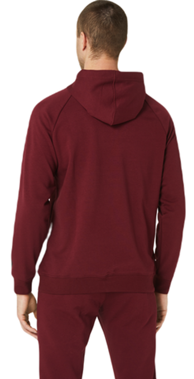 Мужская теннисная кофта Asics Big Asics Oth Hoodie - antique red/performance black