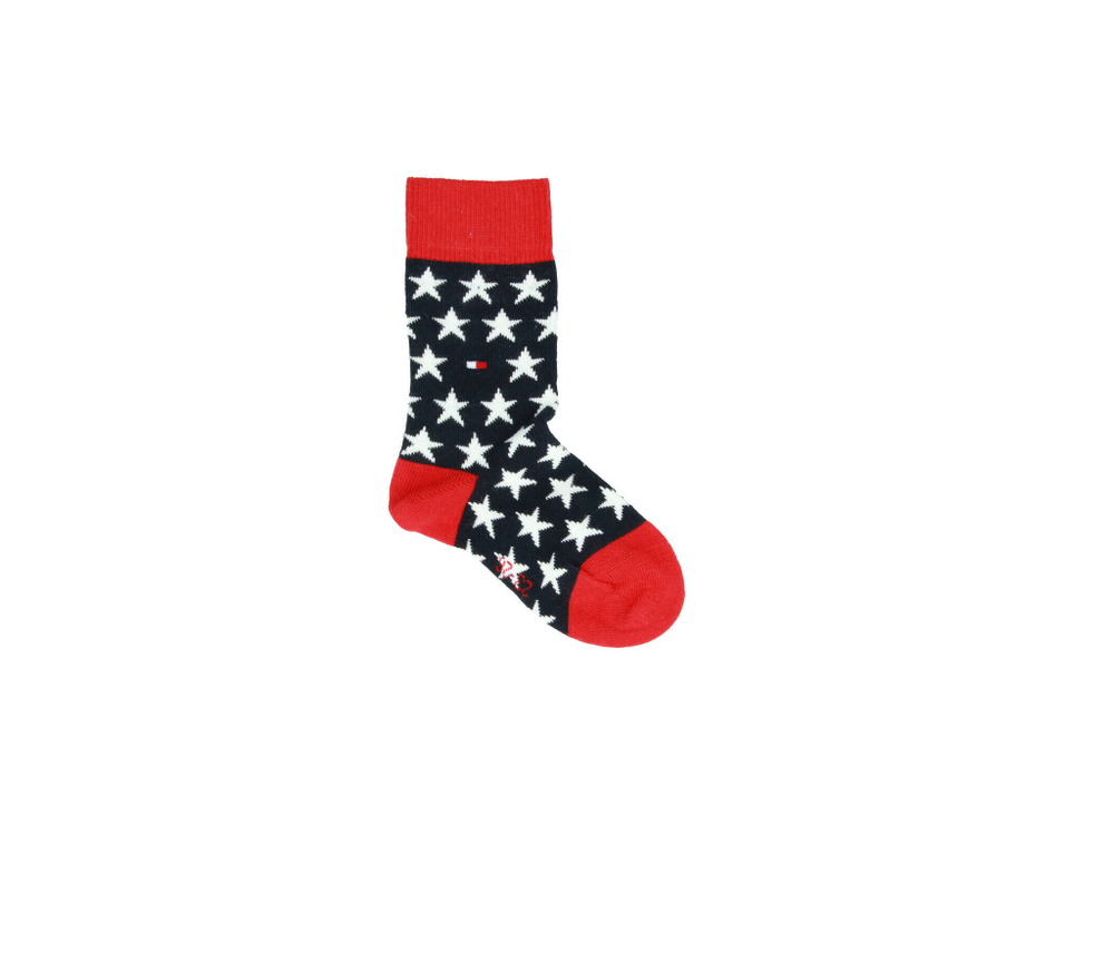 носки 2 пары Tommy Hilfiger - темно-синий(100000816)