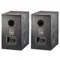 Radiotehnika Alfa 1.01 MKII Black Ash