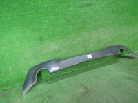 DSCN9742.JPG