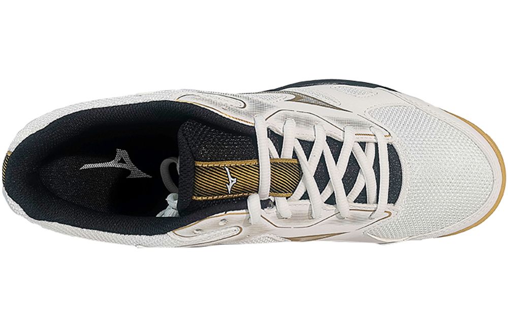 Mizuno Sky Blaster "SlipResistant Durable Low Badminton"