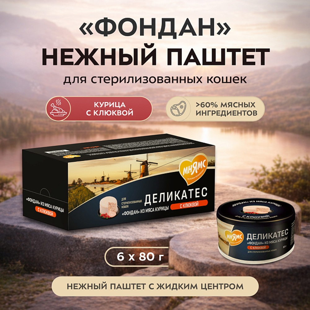 Влажный корм для стерилизованных кошек Деликатес Фондан из мяса курицы с клюквой Мнямс 80 г 24 шт