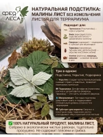 Малина лист лесной целый для чая и здоровья
