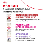 Royal Canin Instinctive Инстинктив Корм влажный для взрослых кошек в возрасте от 1 года до 7 лет соус 85г