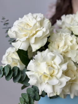 Bouquet of 25 white French Blanche roses in a box