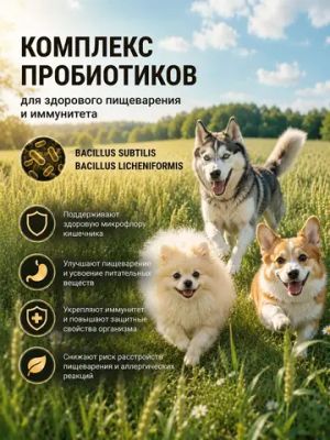 Сухой корм Shelly для взрослых собак мясное ассорти с морковью