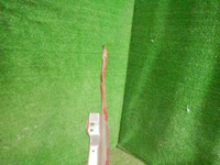 DSCN8258.jpg