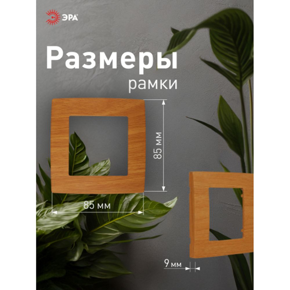 12-5001-07 ЭРА Рамка на 1 пост, Эра12, ольха | Эра 12