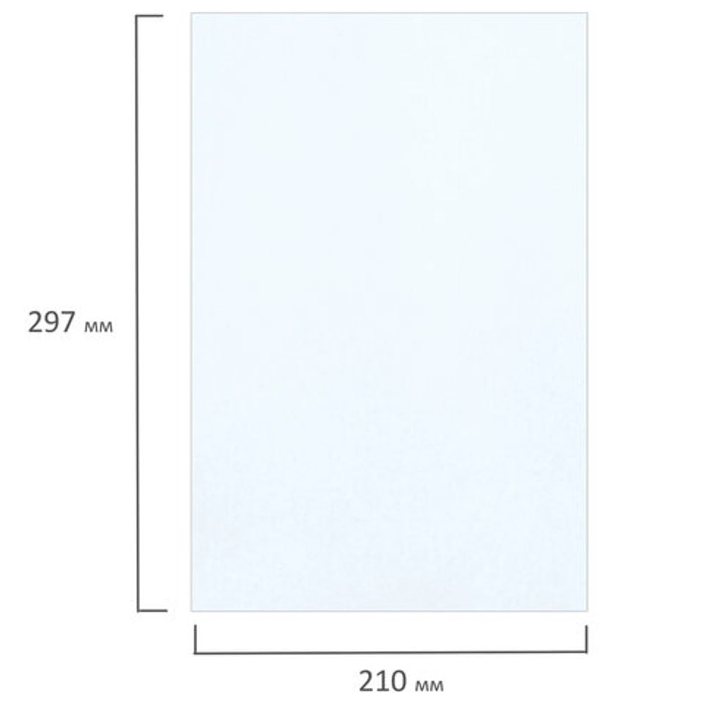 Фотобумага матовая, А4, 200 г/м2, двусторонняя, 300 листов, BRAUBERG ORIGINAL, 364435