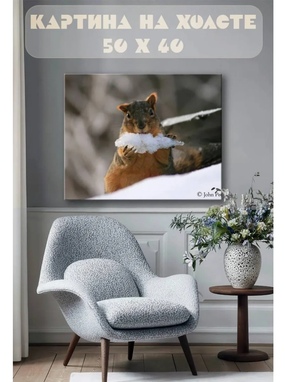 Картина на стену 40 X 50 Белка