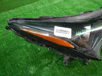DSCN3199.JPG