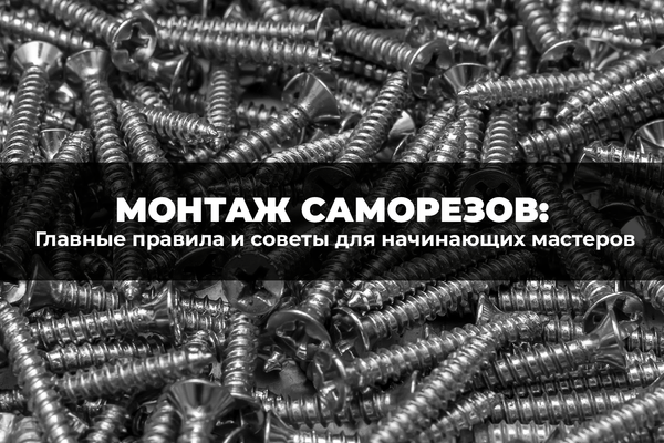Главные правила монтажа саморезов - советы для начинающих мастеров Главные правила монтажа саморезов - советы для начинающих мастеров