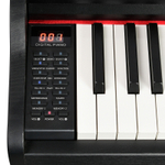 Emily Piano D-51