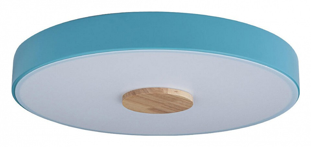 Накладной светильник Loft it Axel 2 10003/24 Blue