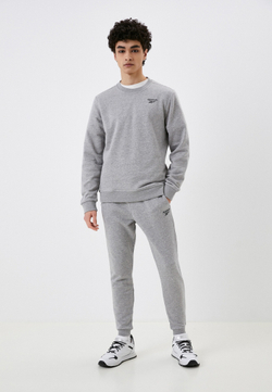 Брюки спортивные мужские REEBOK RI FT LEFT LEG JOGGER