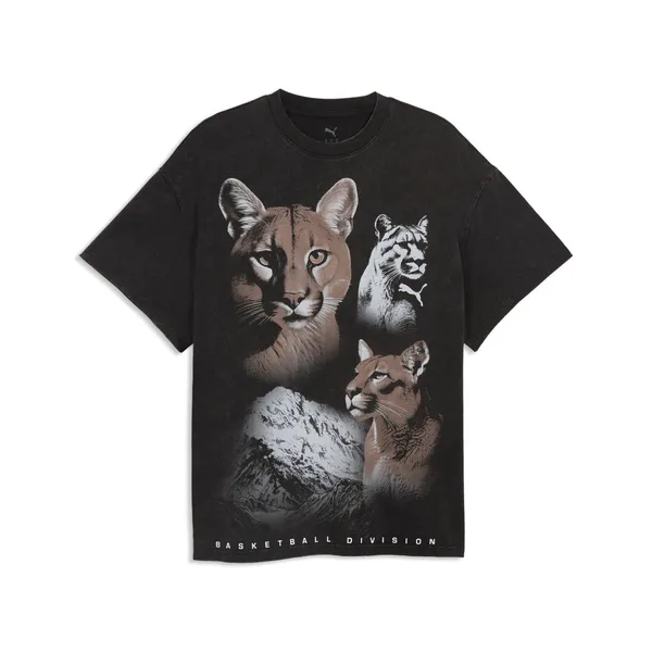Футболка мужская PUMA DYLAN WILDCAT Tee II