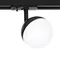 Трековый светильник Virgo A4565PL-1BK Arte Lamp