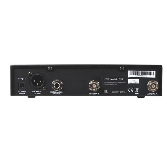 FBW P1R Black