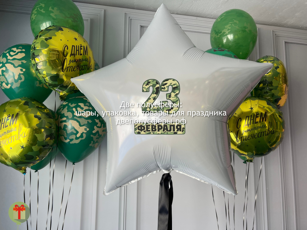 Два фонтана и звезда 23 февраля