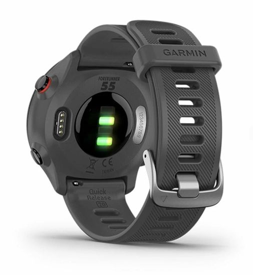 Умные часы Garmin Forerunner 55 Monterra Grey (010-02562-13)