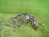 DSCN2321.jpg