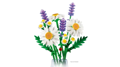 Конструктор LEGO Botanical Collection 11508 Daisies
