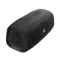JBL BassPro Go Black
