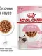Влажный корм RC Kitten Instinctive для котят, в соусе, пауч, 85 г