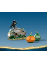 Конструктор Harry Potter 76427 Клювокрыл