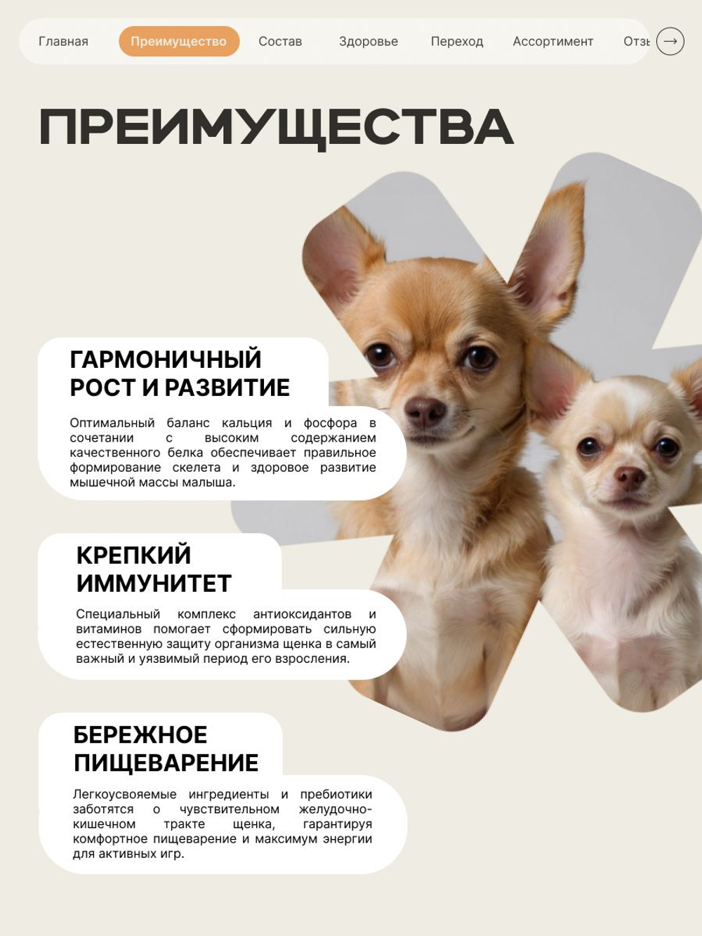Корм сухой для щенков породы Кане корсо, с индейкой, 12 кг, QUATTRO