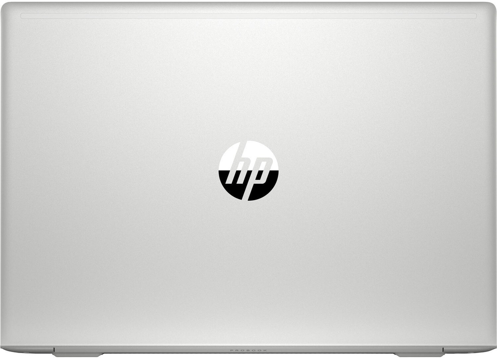 Ноутбук HP ProBook 455 G7 1F3M4EA Pike Silver Ryzen 3-4300U/8Gb/256Gb SSD/15,6; FHD IPS/Radeon Graphics/WiFi/BT/DOS