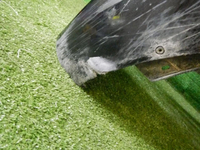 DSCN3091.jpg