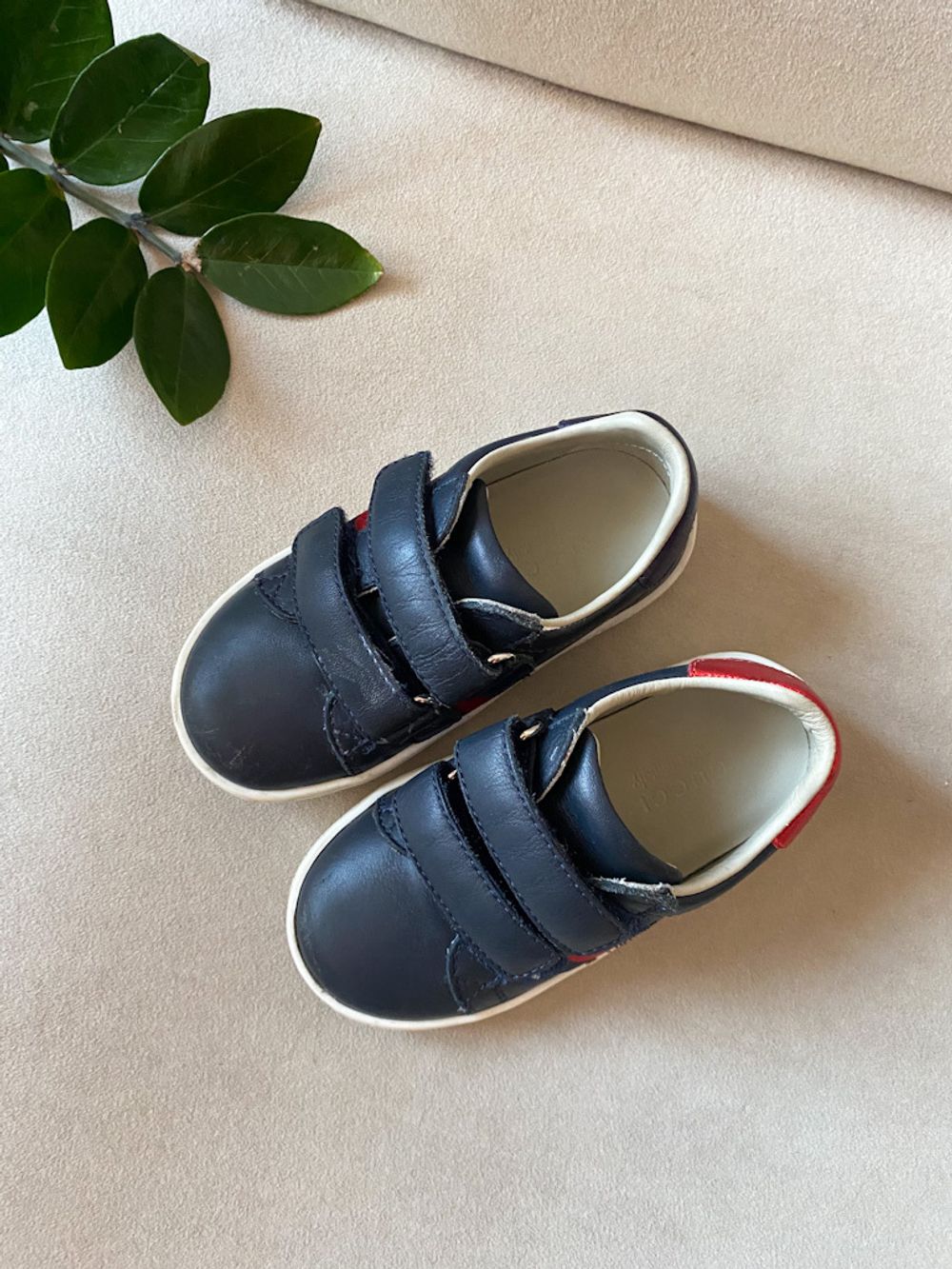 Кеды Gucci, 22
