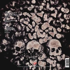 Slayer / Undisputed Attitude (LP)