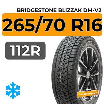 Bridgestone Blizzak DM-V2 265/70 R16 112R