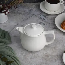 Чайник 450 мл d 10,1 см h11 см с фильтром белый фарфор P.L. Proff Cuisine [1]