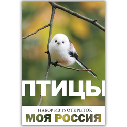 Моя Россия. Птицы