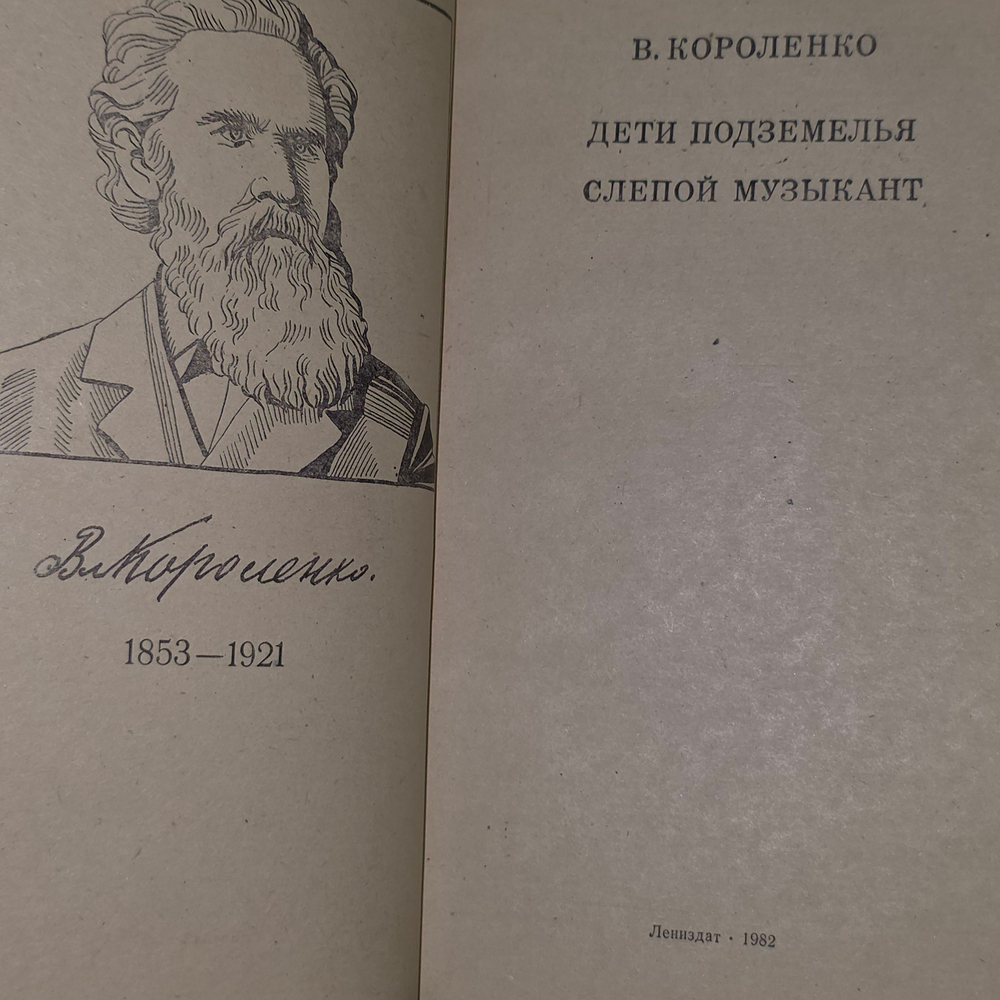 книга " Дети подземелья; Слепой музыкант "