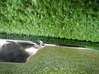 DSCN2136.jpg