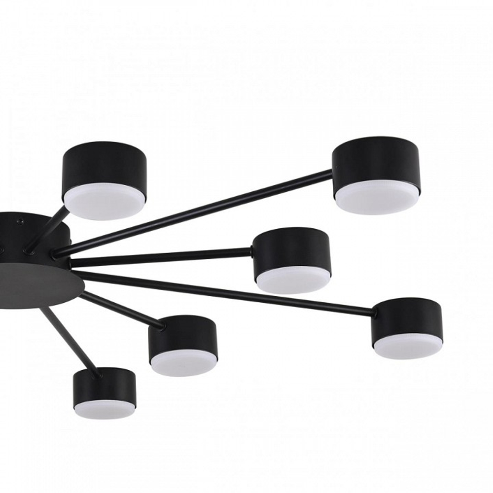 Потолочная люстра Lumion TORINA 8344/12C