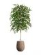 Комплект - Берёза натуральная 140 см в кашпо TREEZ Effectory - серия Wood
