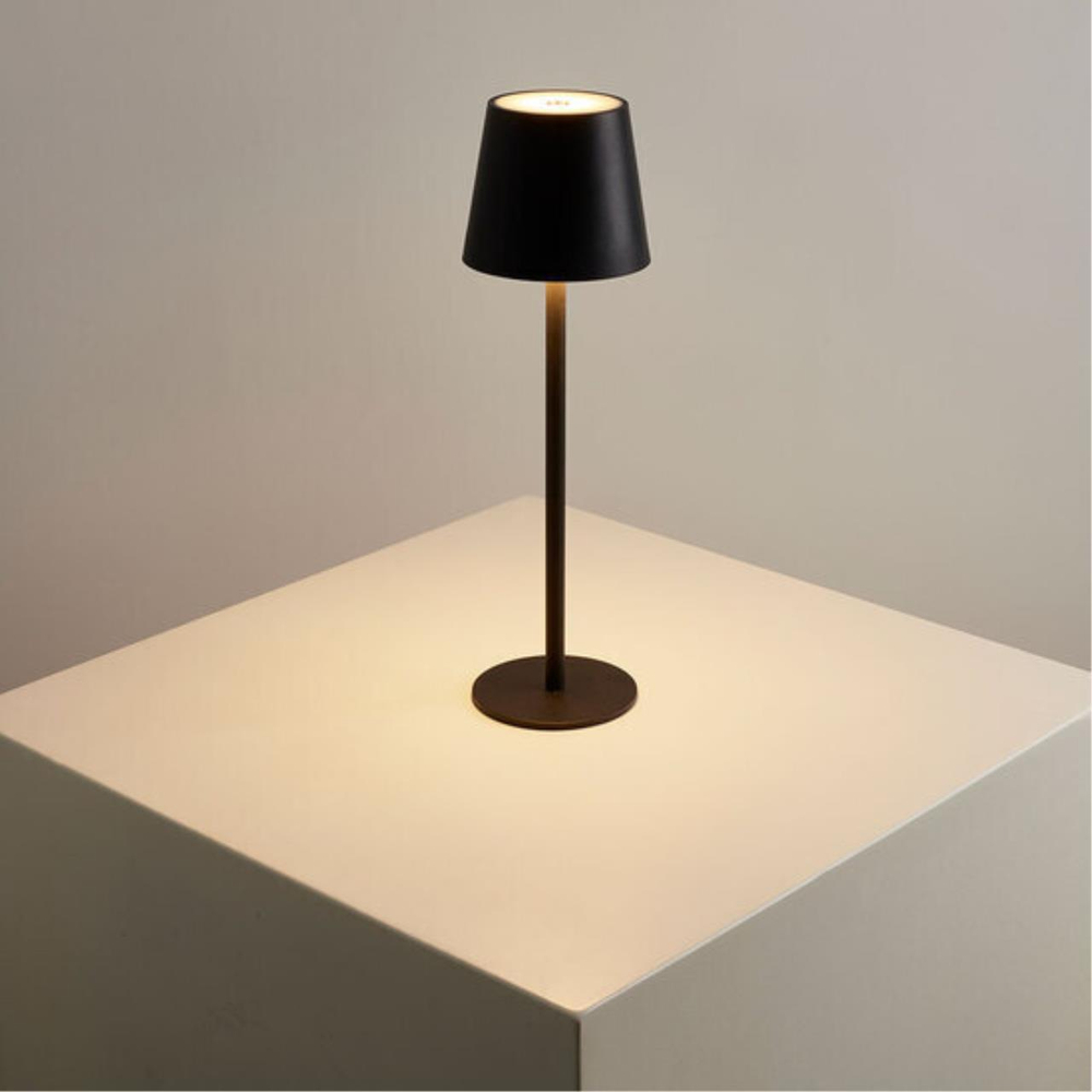 Аккумуляторная настольная лампа Arte Lamp FUYUE A1614LT-1BK